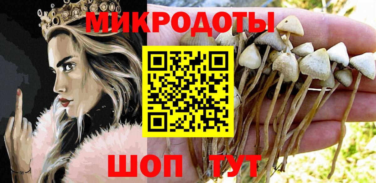 Псилоцибиновые грибы мухоморы  Вход с VPN  Рассказово 