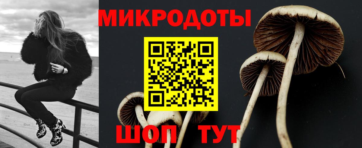Галлюциногенные грибы ЛСД Рассказово